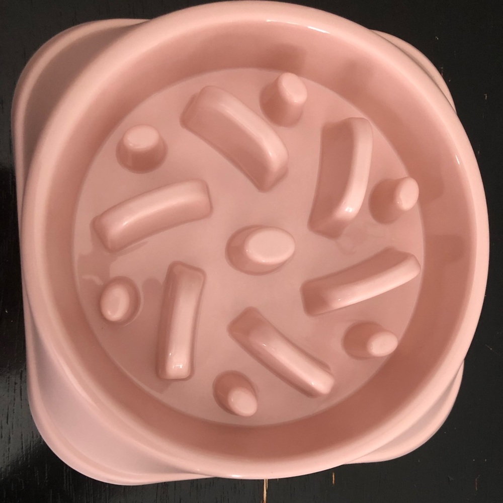Small Dog Slow Feeder Bowl
